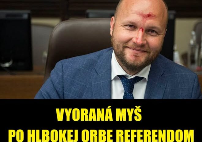 VYORANÁ MYŠ ZAŽILA HLBOKÚ ORBU NA VLASTNEJ KOŽI